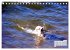 Ostsee-Hunde - Zweibeiner und... - Bild 14