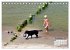 Ostsee-Hunde - Zweibeiner und... - Bild 15