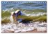 Ostsee-Hunde - Zweibeiner und... - Bild 3