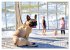 Ostsee-Hunde - Zweibeiner und... - Bild 8