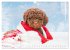 Lagotto Romagnolo - Der Trüffelhund... - Bild 5