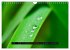 Achtsame Augenblicke (Wandkalender 2026... - Bild 13