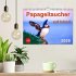 Papageitaucher auf Island (Wandkalender... - Bild 2