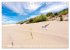 BORKUM-LIEBE (Tischkalender 2026 DIN A5... - Bild 13