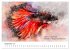 Exotische Fische - Die schönsten... - Bild 15