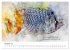 Exotische Fische - Die schönsten... - Bild 3