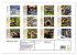 Wildtiere des Jahres (hochwertiger... - Bild 5