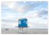 Am Strand von Langeoog (Wandkalender... - Bild 9