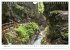 Alpine Bergwelt Tirol - Illustriert in... - Bild 8
