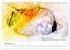 Exotische Fische - Die schönsten... - Bild 5