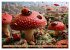 Bugtopia. Die fantastische Welt der... - Bild 11