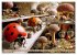 Bugtopia. Die fantastische Welt der... - Bild 6