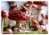 Bugtopia. Die fantastische Welt der... - Bild 9