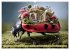 Bugtopia. Die fantastische Welt der... - Bild 10