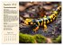 Wildtiere des Jahres (Wandkalender 2026... - Bild 14