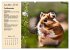 Wildtiere des Jahres (Wandkalender 2026... - Bild 3
