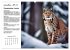 Wildtiere des Jahres (Wandkalender 2026... - Bild 5