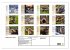 Wildtiere des Jahres (Wandkalender 2026... - Bild 6