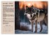 Wildtiere des Jahres (Wandkalender 2026... - Bild 8