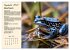 Wildtiere des Jahres (Wandkalender 2026... - Bild 10