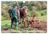 Kartoffelanbau ohne Traktor... - Bild 15