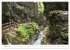 Alpine Bergwelt Tirol - Illustriert in... - Bild 7
