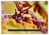 Achtsame Augenblicke (Tischkalender... - Bild 12