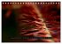 Achtsame Augenblicke (Tischkalender... - Bild 15