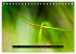 Achtsame Augenblicke (Tischkalender... - Bild 9