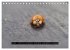 Achtsame Augenblicke (Tischkalender... - Bild 10