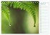 Grün Makrofotografien aus der grünen... - Bild 14