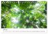Australiens Schönheit (Tischkalender... - Bild 12