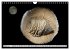 Versteinerte Welt (Wandkalender 2026... - Bild 3