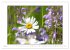 Sanfte Natur (hochwertiger Premium... - Bild 12
