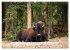 Kanadas Wilde Tiere (hochwertiger... - Bild 9