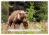 Kanadas Wilde Tiere (hochwertiger... - Bild 10