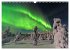 Magische Polarlichter der Erde... - Bild 5