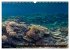 Naturwunder im Roten Meer (Wandkalender... - Bild 4