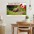 Kanadas Wilde Tiere (Wandkalender 2026... - Bild 2