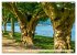 Heimatliebe Bodensee (Wandkalender 2026... - Bild 11