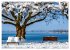 Heimatliebe Bodensee (Wandkalender 2026... - Bild 7