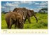 Safari in Kenia (hochwertiger Premium... - Bild 11