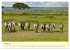 Safari in Kenia (hochwertiger Premium... - Bild 8