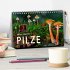 Pilze - kleine Giganten (Tischkalender... - Bild 2