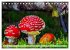 Pilze - kleine Giganten (Tischkalender... - Bild 7