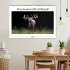 Faszination Hirschbrunft (Wandkalender... - Bild 2