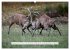 Faszination Hirschbrunft (Wandkalender... - Bild 15