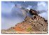 Magic Moments - LA PALMA (Wandkalender... - Bild 14