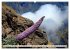 Magic Moments - LA PALMA (Wandkalender... - Bild 15
