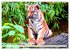 Tiger. Die schönsten Katzen der Erde... - Bild 11